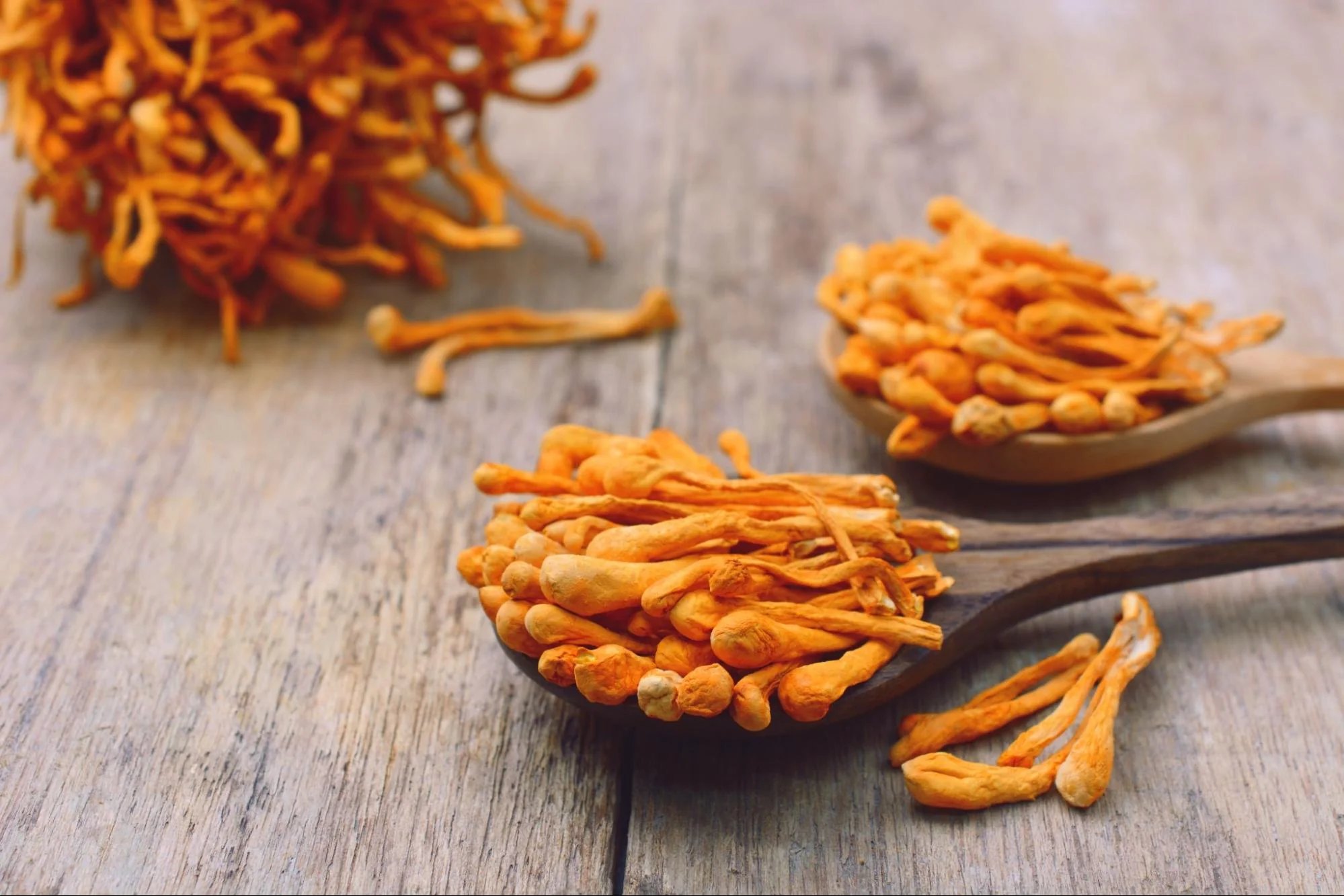 The Health Benefits of Cordyceps Mushroom Powder